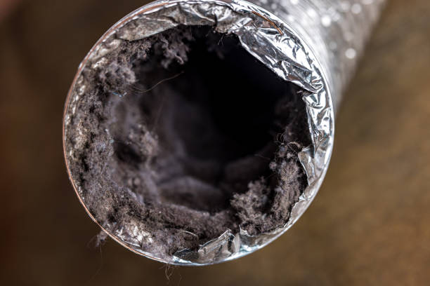 Best HVAC Air Duct Cleaning  in Dayton, WA