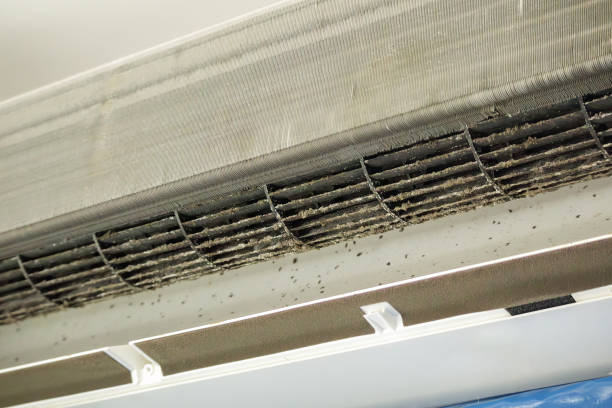 Best Emergency Air Duct Cleaning  in Dayton, WA